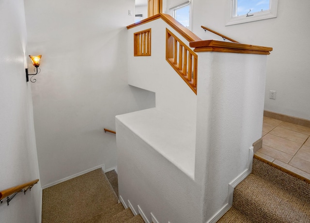 stairway featuring carpet