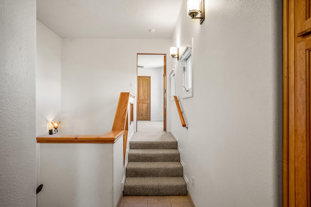 stairway featuring carpet floors