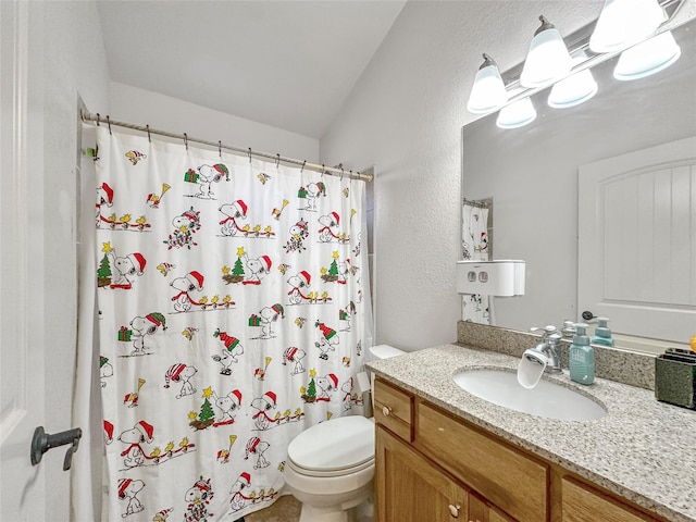 bathroom featuring vanity, toilet, and curtained shower