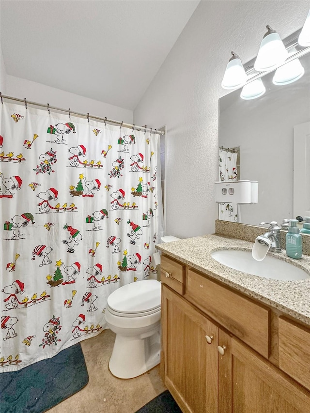 bathroom with vanity, lofted ceiling, and toilet