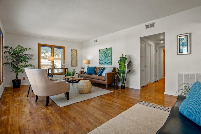 living room featuring wood-type flooring