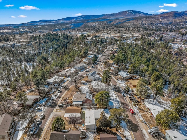 birds eye view of property featuring a mountain view