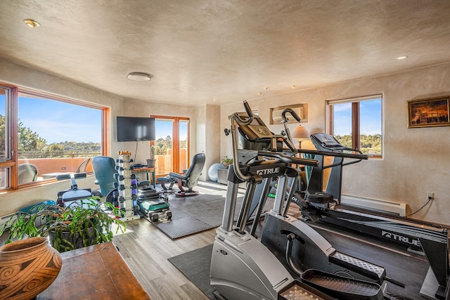 gym featuring a wealth of natural light and light hardwood / wood-style floors