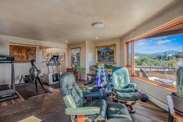 workout room with a mountain view and hardwood / wood-style flooring