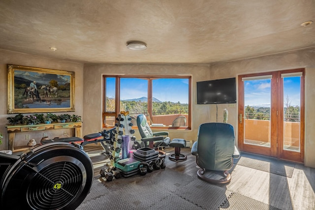 workout room with hardwood / wood-style floors