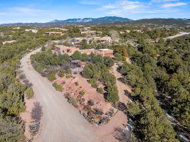 birds eye view of property with a mountain view