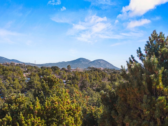 view of mountain feature