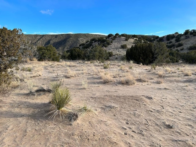 Address Not Disclosed, Ojo Caliente NM, 87549 land for sale