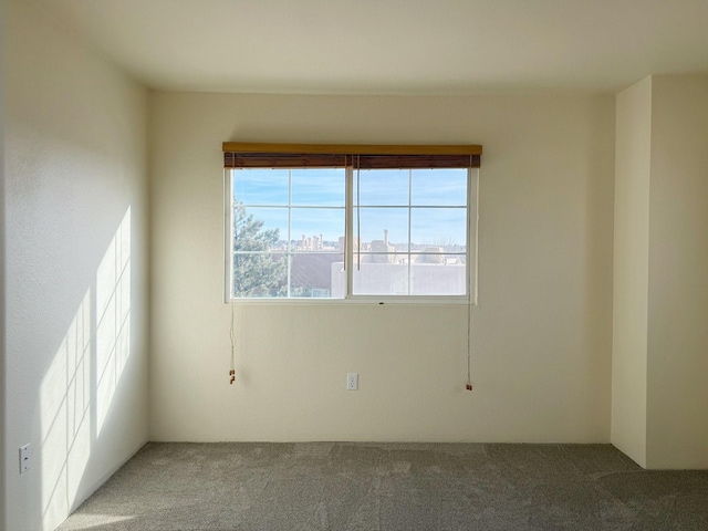 spare room with carpet floors