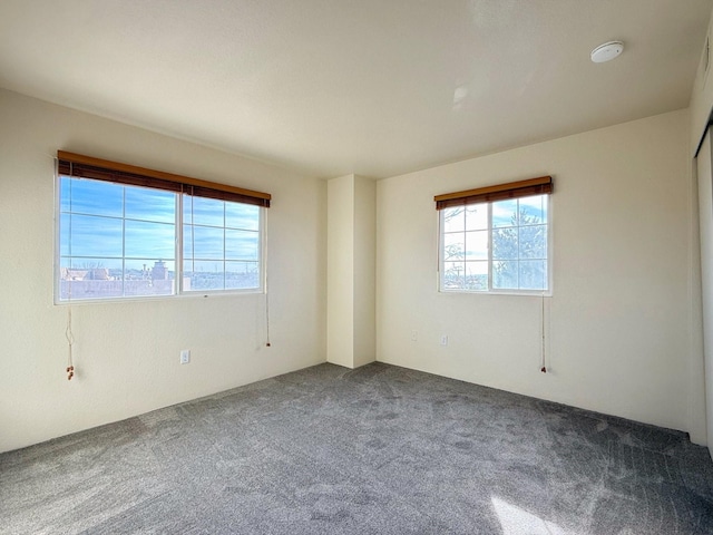 empty room featuring carpet