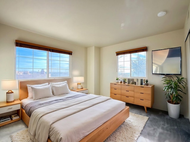 carpeted bedroom with multiple windows