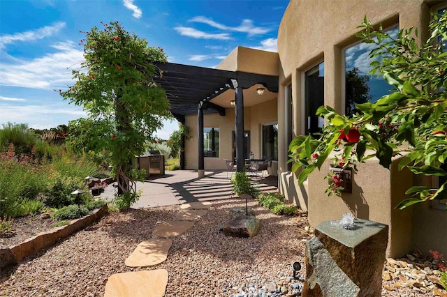 view of yard with a patio area