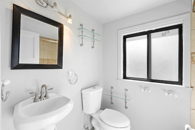 bathroom featuring toilet and sink