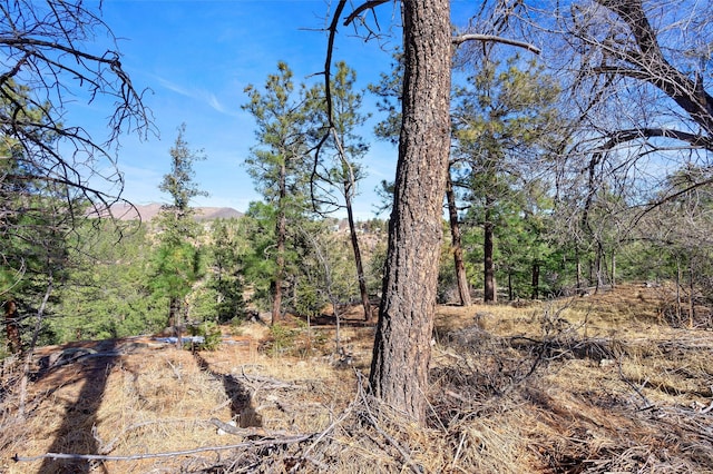 view of local wilderness