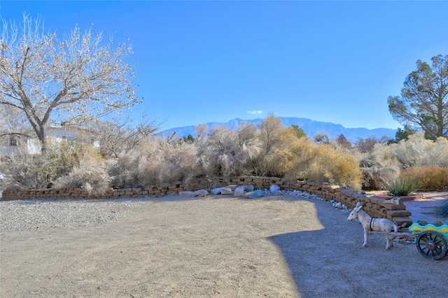 view of yard with a mountain view