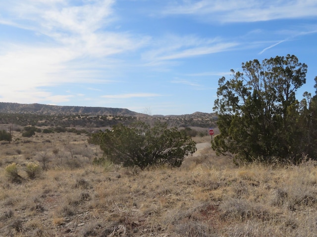 Listing photo 3 for 44 Yerba Buena, Cerrillos NM 87010