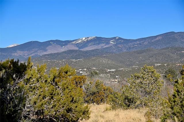 view of mountain feature