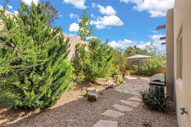 view of yard featuring a patio