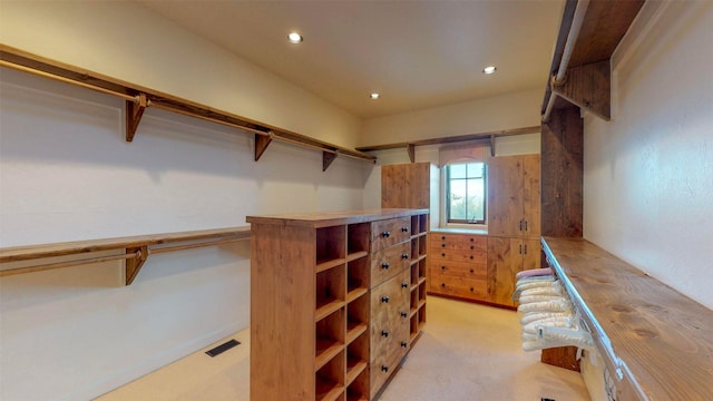 walk in closet with light colored carpet