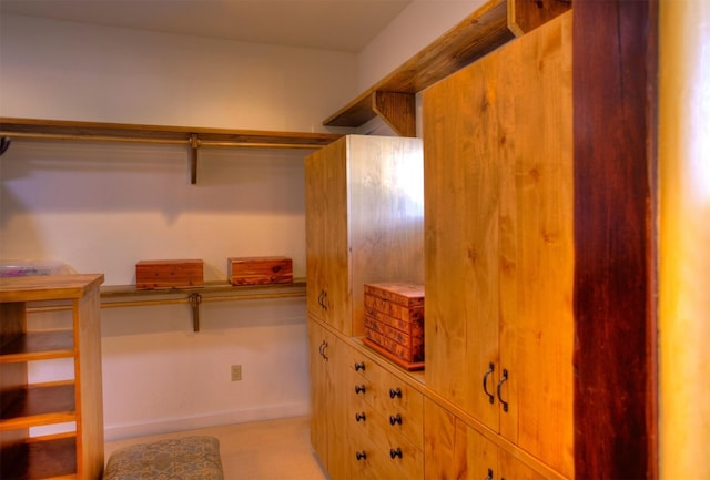 view of spacious closet