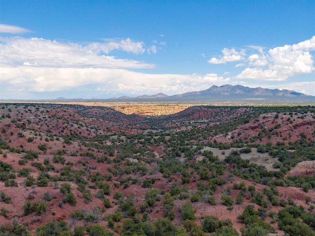 property view of mountains