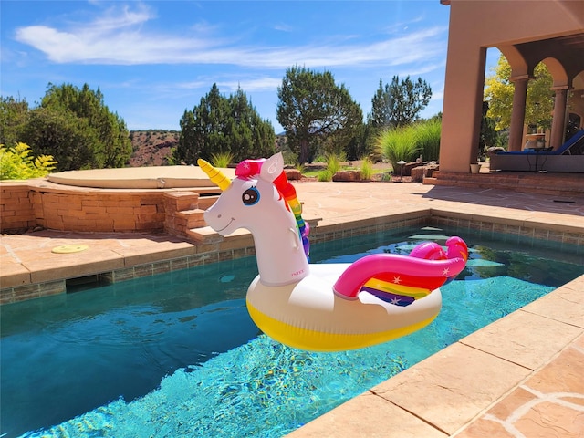 view of swimming pool with a patio