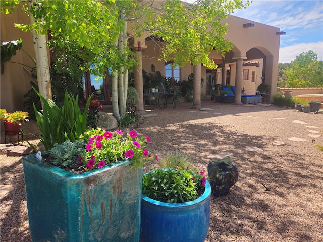 view of yard featuring a patio area