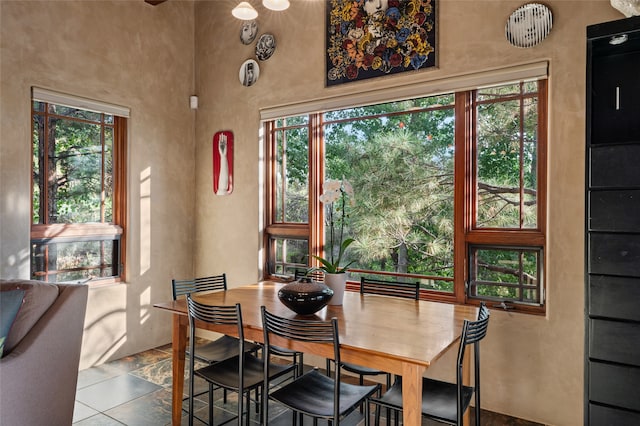 view of dining area