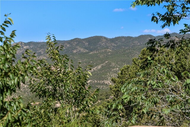 145 Brownell Howland, Santa Fe, NM 87501 - mountain view