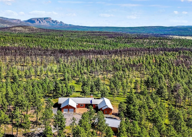 437 County Road A18A, Las Vegas, NM 87701