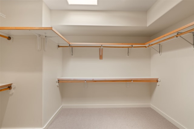 walk in closet with light colored carpet