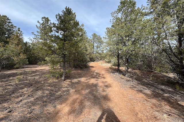 Listing photo 3 for 0 Jose Gonzales Rd, Pecos NM 87552