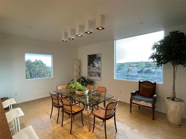 view of dining area