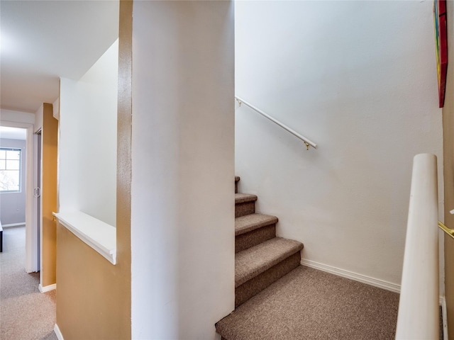 stairs featuring carpet floors