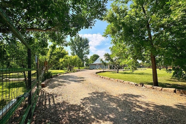 view of street with driveway