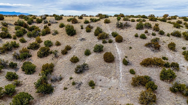 401 Red Rock Rd, Cerrillos, NM 87010
