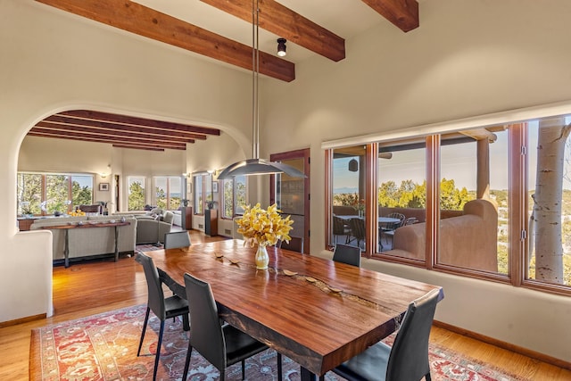 972 Indian Ridge Rd, Santa Fe, NM 87501 - dining space featuring arched walkways, light wood-type flooring, and baseboards