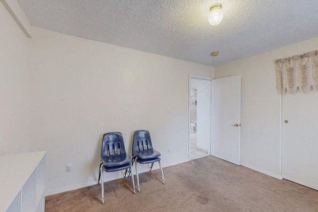 sitting room with light carpet and a textured ceiling