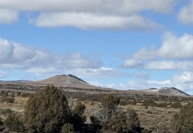 Listing photo 3 for TBD Highway 285, Tres Piedras NM 87577