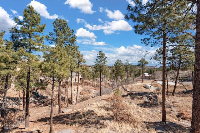 view of local wilderness