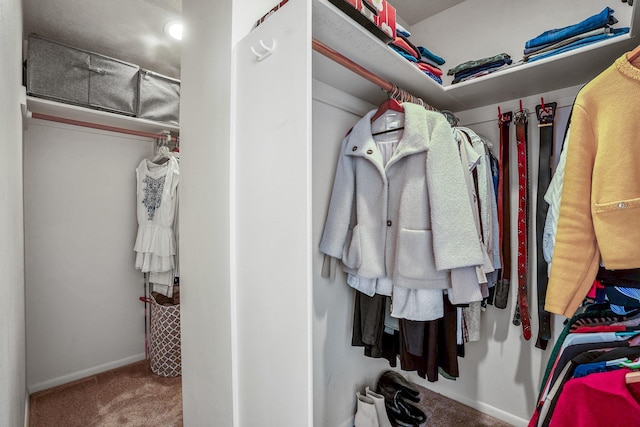 walk in closet with carpet floors