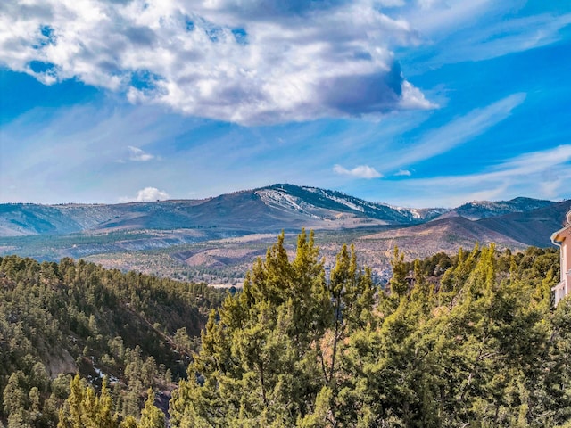 view of mountain feature