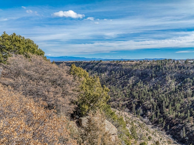 mountain view featuring a wooded view