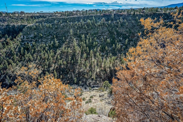 drone / aerial view with a wooded view