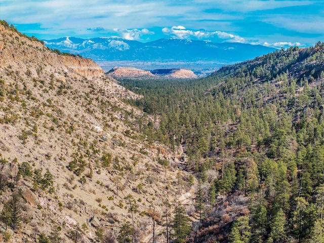 property view of mountains