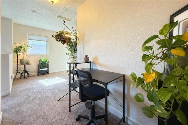 office area featuring a textured ceiling, baseboards, and carpet flooring