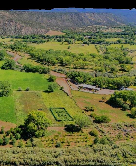 birds eye view of property with a mountain view