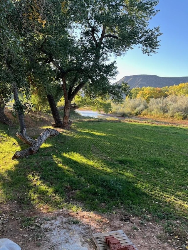 view of yard with a water and mountain view