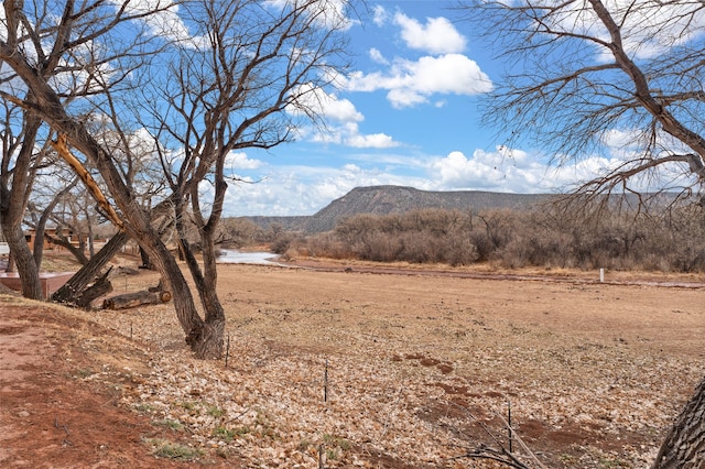 view of mountain feature