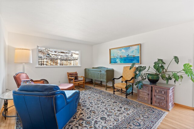 1115 N Luna Cir, Santa Fe, NM 87501 - living room featuring wood finished floors